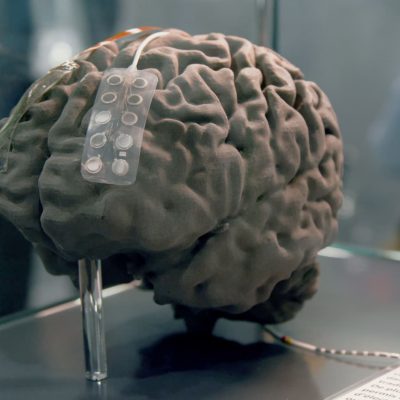 Cerveau_capteur e lectronique 2023